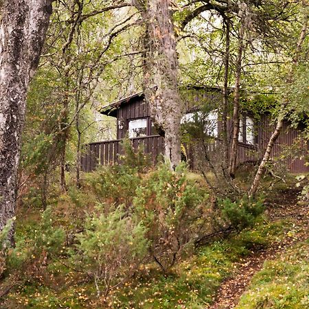 Macdonald Lochanhully Resort Carrbridge Zewnętrze zdjęcie