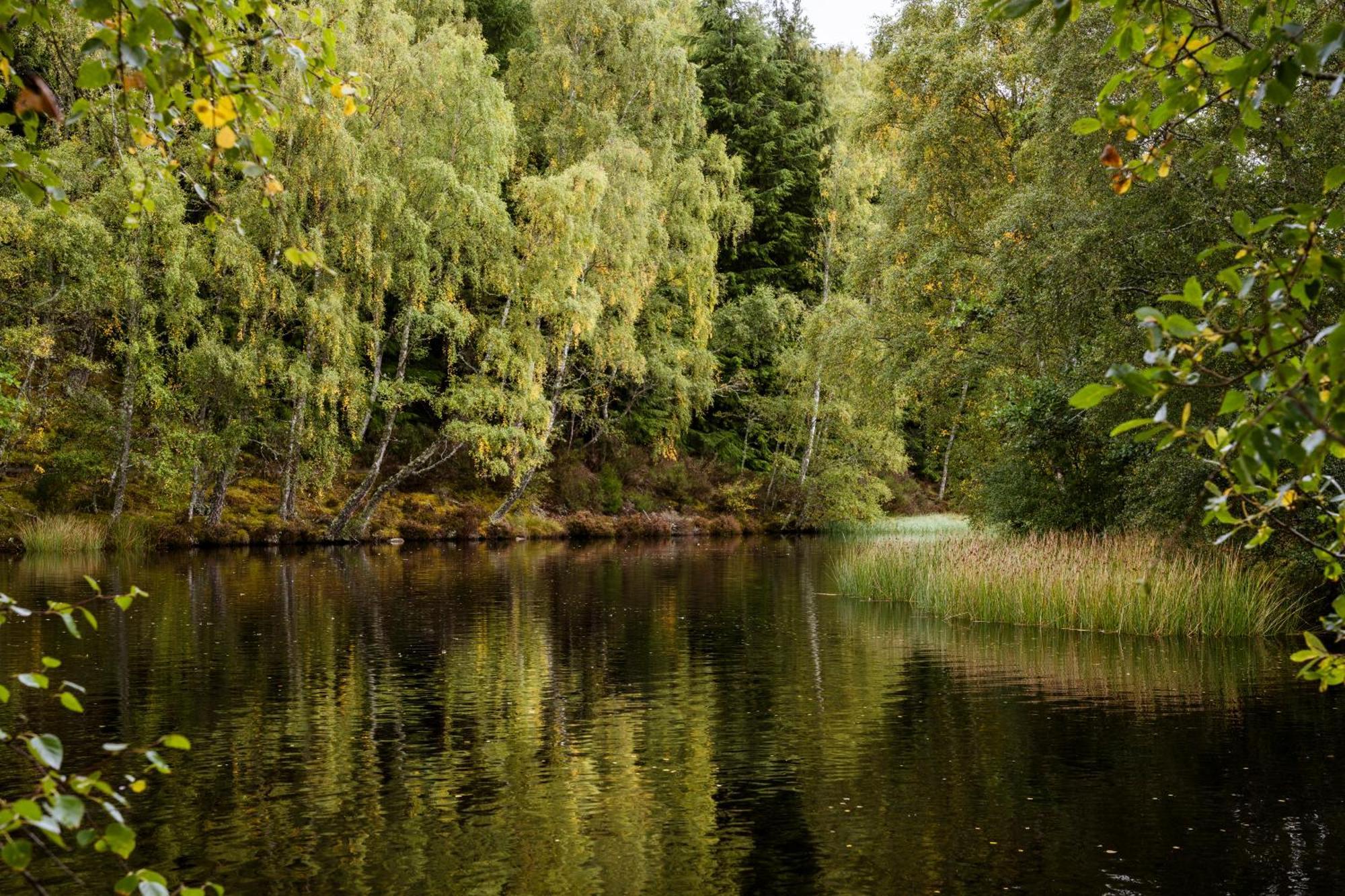 Macdonald Lochanhully Resort Carrbridge Zewnętrze zdjęcie
